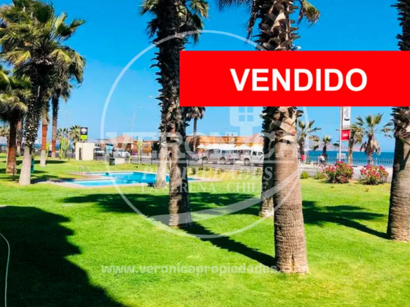 Departamento Palmar, La Serena