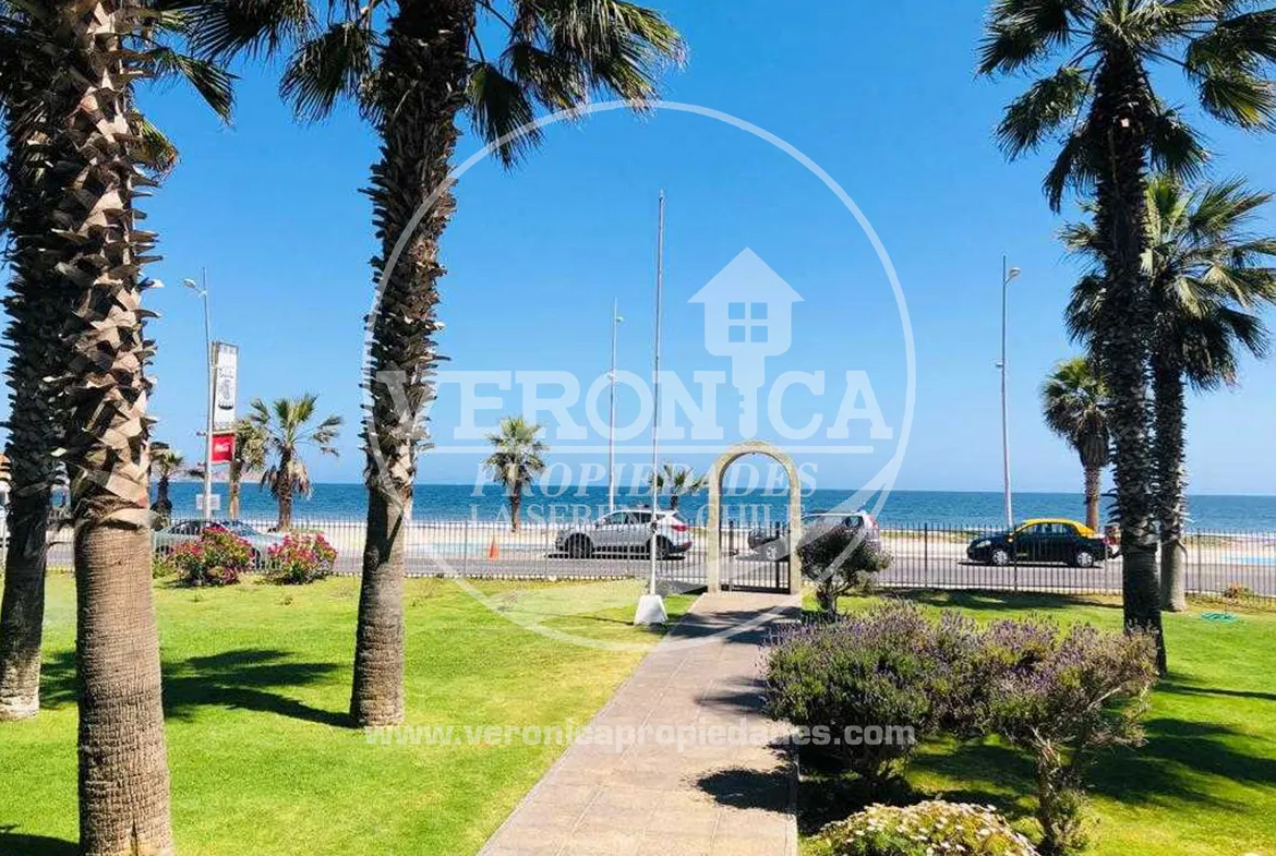Departamento Palmar, La Serena