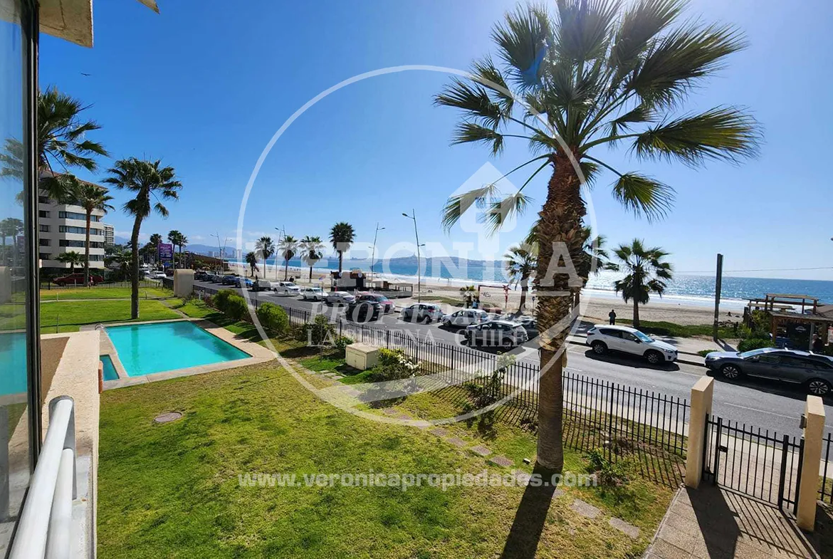 Departamento Palmar, La Serena