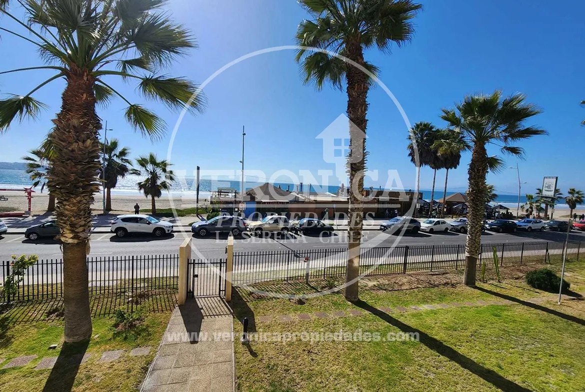 Departamento Palmar, La Serena